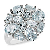 Sterling Silver 6 CT TGW Blue Topaz & White Topaz Fashion Ring
